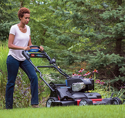 How to choose a lawnmower